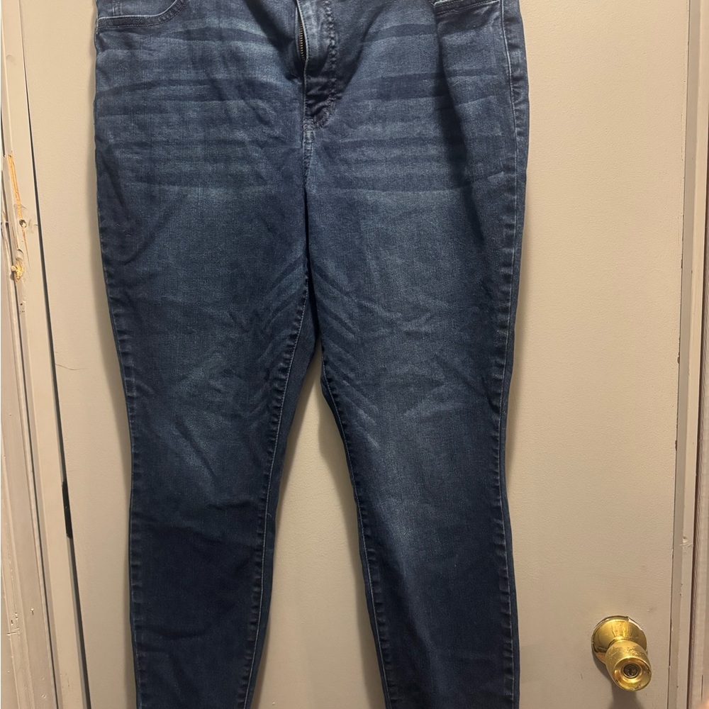 Terra & Sky Women's Deep Blue Skinny Jeans